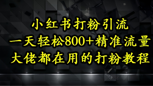 小红书打粉引流，一天轻松500+精准流量，大佬都在用的打粉教程-简创项目网