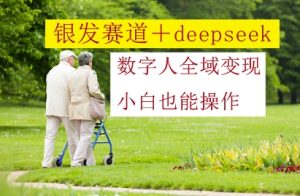 银发赛道+deepseek数字人全域变现，小白也能操作-简创项目网