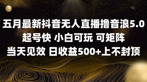 2025五月最新无人直播撸音浪单日产出5张+实操教程【揭秘】-简创项目网