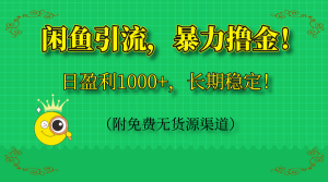 闲鱼引流，暴力撸金，日盈利1000+，长期稳定！(附免费无货源渠道-简创项目网