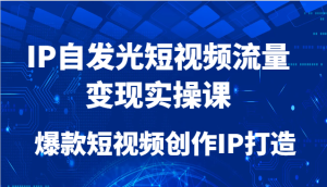 IP自发光短视频流量变现实操课，爆款短视频创作IP打造-简创项目网