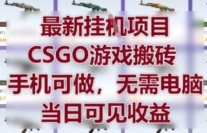 最新挂G项目，CSGO游戏搬砖，手机可做，无需电脑，当日见收益【揭秘】-简创项目网