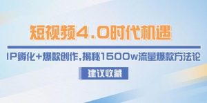 短视频4.0时代机遇:IP孵化+爆款创作,揭秘1500w流量爆款方法论-简创项目网