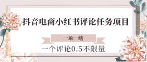 抖音电商小红书评论任务项目,一个评论0.5,一单一结 不限量-简创项目网