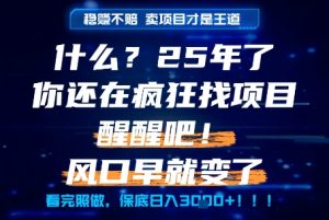 什么?25年你还在疯狂找项目做,醒醒吧,看完这些你全都懂了!【揭秘】-简创项目网