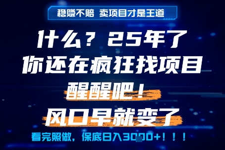 什么？25年你还在疯狂找项目做，醒醒吧，看完这些你全都懂了！【揭秘】-简创项目网