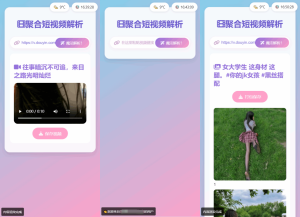 全新二次元聚合短视频解析去水印系统源码 自适应双端-简创项目网