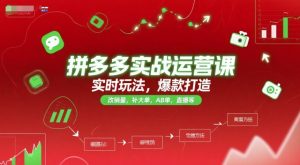 拼多多实战运营课,实时玩法,爆款打造,改销量,补大单,AB单,直播等(更新2025月)-简创项目网