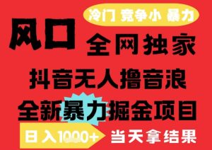 25年6月高爆抖音无人直播最新撸音浪掘金项目,解放双手小白可做,无脑日入1k+,门槛低【揭秘】-简创项目网