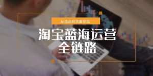 淘宝蓝海运营全链路,从选品到流量变现,小类目突围完整方案-简创项目网