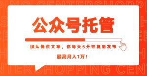 【公众号托管 】我提供文章,你每天5分钟复制发布,最高月入1W-简创项目网