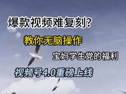 视频号4.0重磅上线，爆款视频难复刻？教你无脑操作宝妈学生党的福利【揭秘】-简创项目网