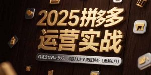 2025拼多多运营实战:店铺定位选品技巧,爆款打造全流程解析(更新6月-简创项目网