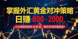 掌握外汇黄金对冲策略,日赚 800 - 2000,小众高回报创业机会,助你实...-简创项目网