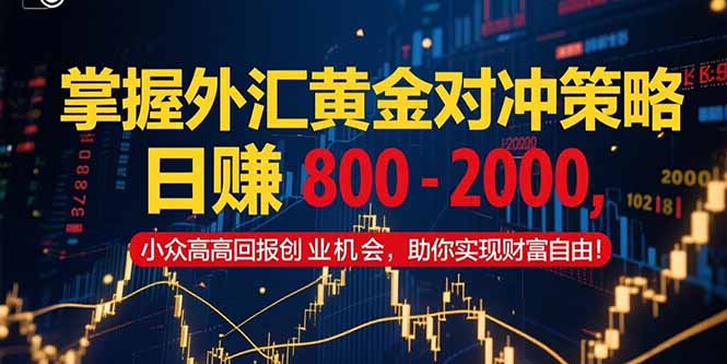 掌握外汇黄金对冲策略，日赚 800 – 2000，小众高回报创业机会，助你实…-简创项目网