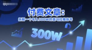 付费文章：拆解一个年入300W的喜马拉雅账号-简创项目网