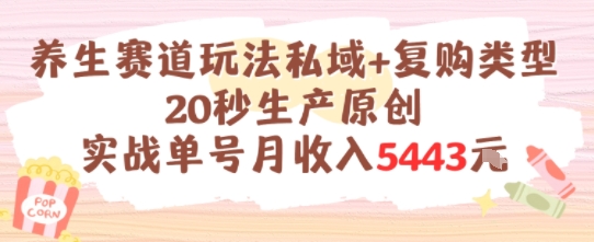 养生赛道玩法私域+复购类型，20秒生产原创实战单号月收入5k+-简创项目网