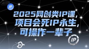 2025网创类IP课,项目会死IP永生,可操作一辈子-简创项目网