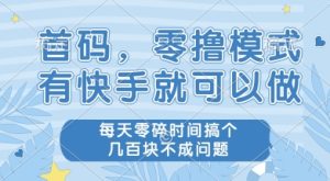 首码零撸项目，有快手就可以做，每天业务时间搞个几张不是问题【揭秘】-简创项目网