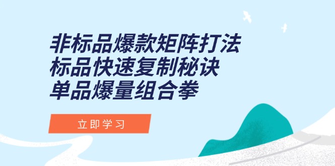 非标品爆款矩阵打法，标品快速复制秘诀，单品爆量组合拳-简创项目网