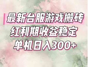 最新台服游戏搬砖，红利期收益高稳定，操作简单，小白闭眼入。-简创项目网