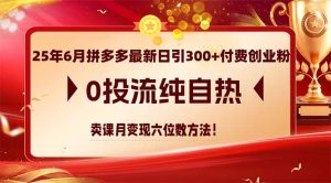 25年6月拼多多最新日引300+付费创业粉，0投流纯自热 卖课月变现六位数方法-简创项目网