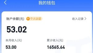 适合空闲时间操作的小红书低保项目,小红薯发布笔记,单个账号每天可获得2-12元左右-简创项目网