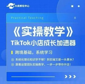 大卖家孵化中心TikTok实操课,TikTok小店成长加速器,跨境基础系统学习,一步一步带你开店-简创项目网