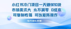 小红书冷门项目一天收益9张，市场需求大，0成本，可复制性强可以矩阵操作-简创项目网