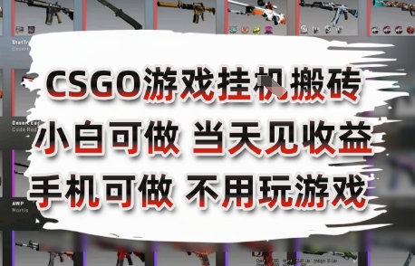 CSGO游戏挂G搬砖，小白纯手机即可操作，不用电脑打游戏，日入3张+，副业网创项目【揭秘】-简创项目网