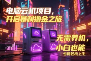 电脑云机项目 暴力撸金玩法,不需要养机 配置没有要求 单机100个窗口一...-简创项目网