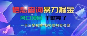 信息查询暴力掘金,一天三条视频,轻松变现四位数,风口项目干就完了【揭秘】-简创项目网