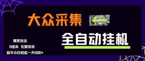 大众采集全自动玩法,新手小白轻松一天5张+,操作简单零成本【揭秘】-简创项目网