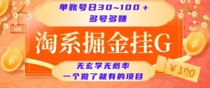 淘系掘金挂G项目,单账号日收益30~100+,多号多得,一个做了就有的项目【揭秘】-简创项目网