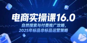 淘宝电商运营课16.0，自然搜索与付费推广攻略，2025年标品非标品运营策略-简创项目网