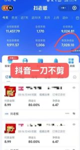 抖音短视频一刀不剪带货,不剪辑,不直播,每天发个视频,等着出单获取带货佣金-简创项目网