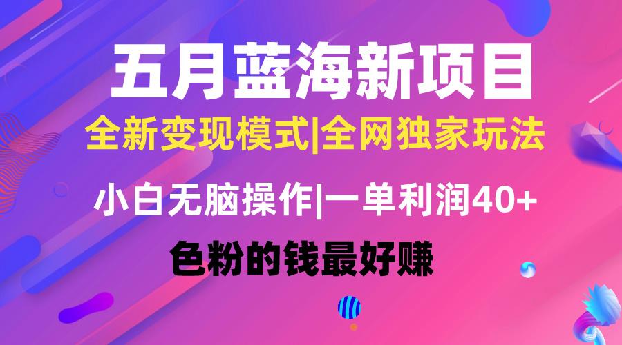 五月蓝海项目全新玩法，小白无脑操作，一天几分钟，矩阵操作，月入4万+-简创项目网