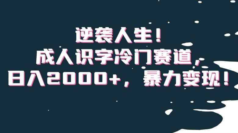 逆袭人生！成人识字冷门赛道，日入2000+，暴力变现！【揭秘】-简创项目网
