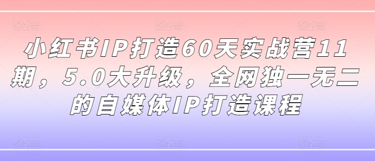 小红书IP打造60天实战营11期，5.0大升级，全网独一无二的自媒体IP打造课程-简创项目网