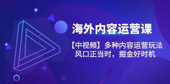 海外内容 运营课【中视频】多种内容运营玩法 风口正当时 掘金好时机-101节-简创项目网