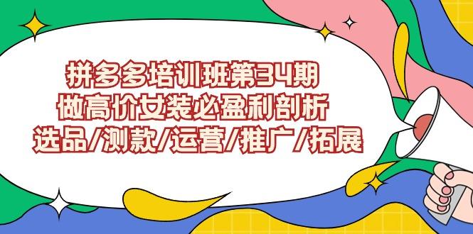 (9333期)拼多多培训班第34期：做高价女装必盈利剖析  选品/测款/运营/推广/拓展-简创项目网