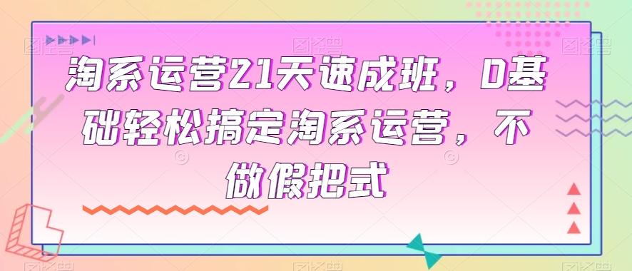 淘系运营21天速成班，0基础轻松搞定淘系运营，不做假把式-简创项目网