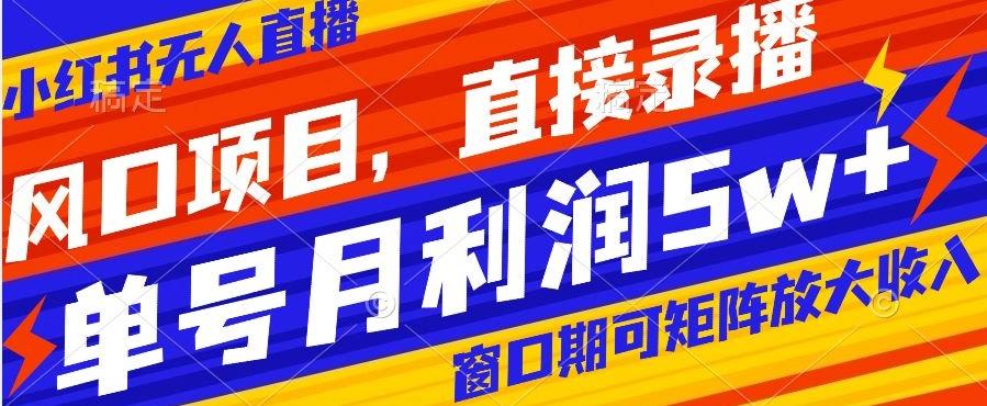 风口项目，小红书无人直播带货，直接录播，可矩阵，月入5w+【揭秘】-简创项目网