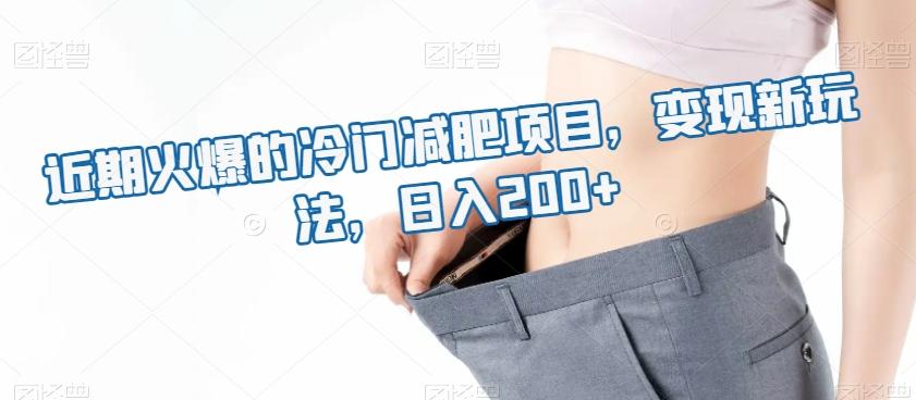 近期火爆的冷门减肥项目，变现新玩法，日入200+-简创项目网