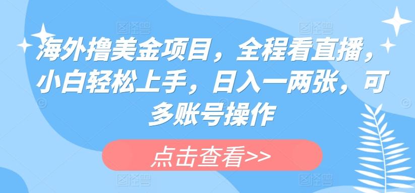 海外撸美金项目，全程看直播，小白轻松上手，日入一两张，可多账号操作【揭秘】-简创项目网