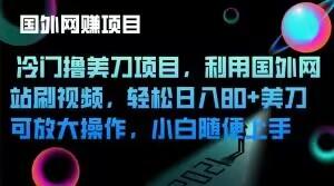 冷门撸美刀项目，利用国外网站刷视频，轻松日入80+美刀，可放大操作，小白随便上手-简创项目网