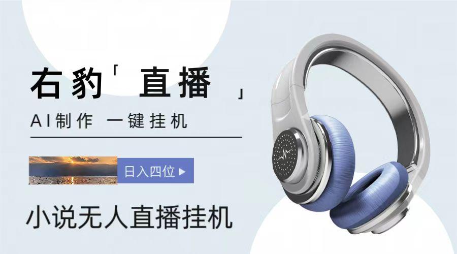 右豹小说无人直播挂机吸金项目，简单易行收益稳定， 月入1000+-简创项目网