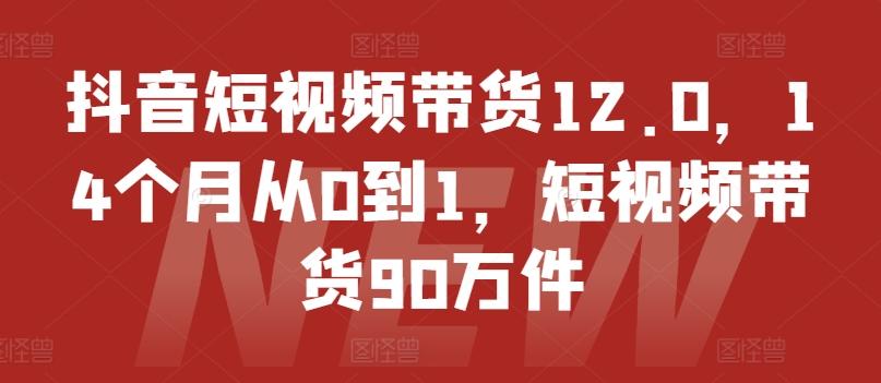 抖音短视频带货12.0，14个月从0到1，短视频带货90万件-简创项目网