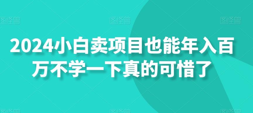 2024小白卖项目也能年入百万不学一下真的可惜了-简创项目网