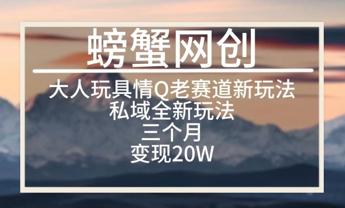 大人玩具情Q用品赛道私域全新玩法，三个月变现20W，老项目新思路【揭秘】-简创项目网
